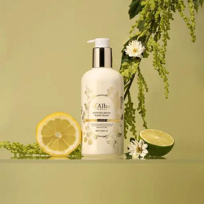 d'Alba Scented Mood Hand Wash 290ml by Seoulia
